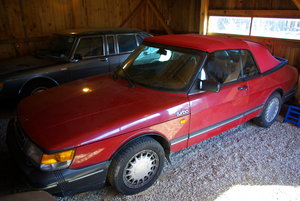 IMGP3802.JPG